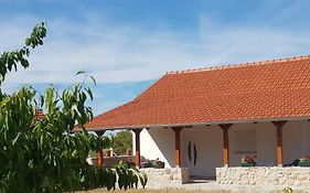 Apartmani Dejan
